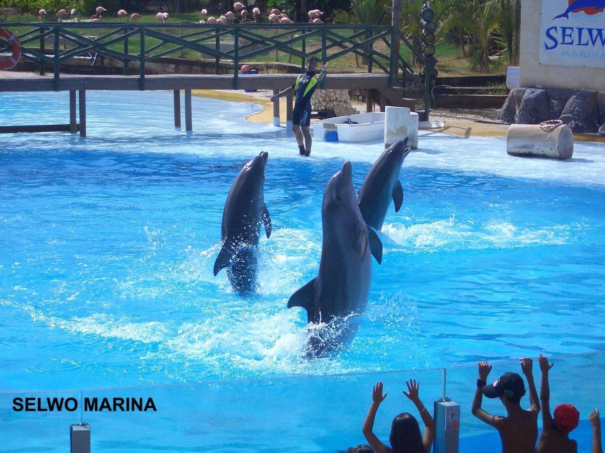 Ferienwohnung Estudio Jupiter Benalmadena Cerca Playa Exterior foto